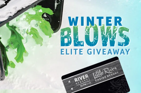 elite winter blows