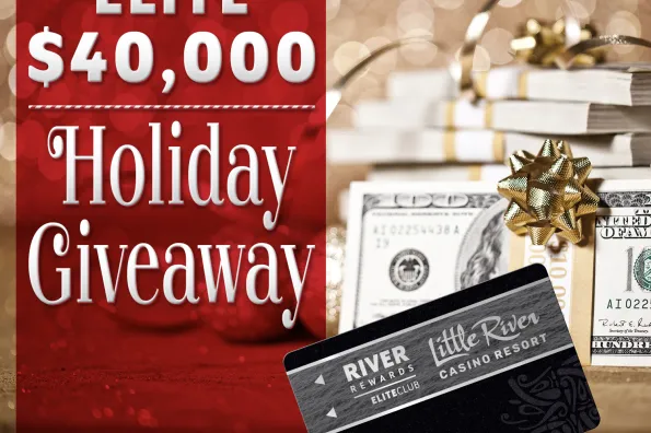 elite holiday giveaway