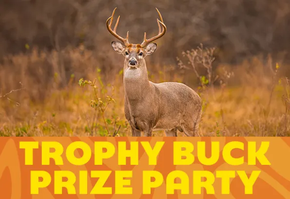 Trophy Buck